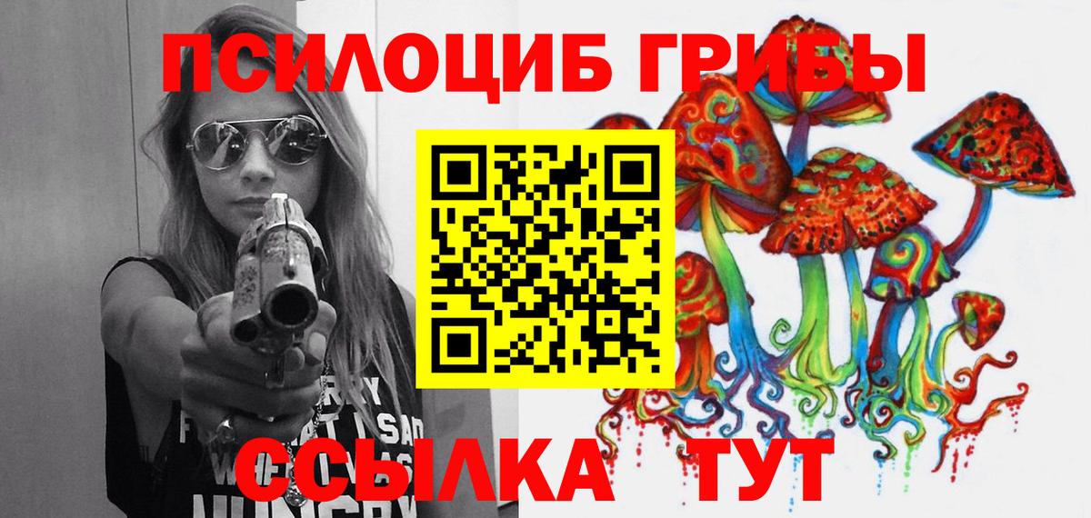 Галлюциногенные грибы GOLDEN TEACHER  Вход с VPN  Новозыбков 